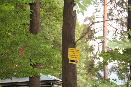 Obrázek v galerii